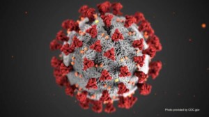 Coronavirus